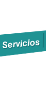 Servicios